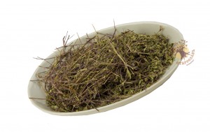 Зизифора (трава, 50 гр.) Старослав