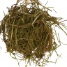 Хвощ полевой (трава, 50 гр.) Старослав